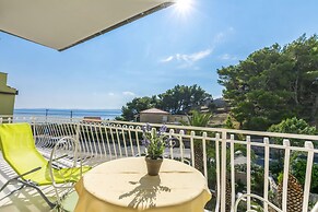 Apartments and Room Alen