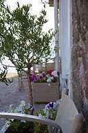 Olive Press Hotel & Apartments