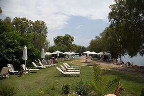 Olive Press Hotel & Apartments