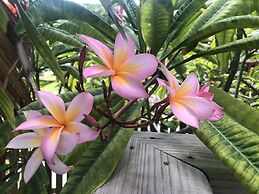 Belize Budget Suites