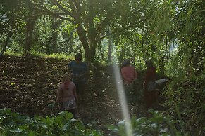 The Goat Village Escape