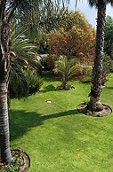 Hotel Palmas Teotihuacan