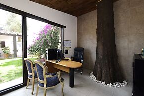 Hotel Palmas Teotihuacan