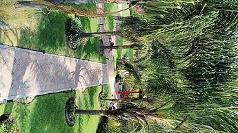 Hotel Palmas Teotihuacan