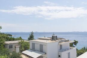 Apartment Branka
