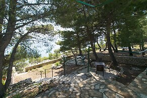 Apartment Branka