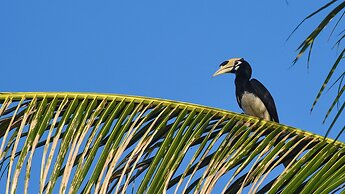 Tinidee Hideaway Tonsai Beach Krabi