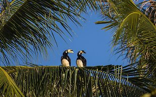 Tinidee Hideaway Tonsai Beach Krabi