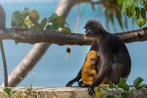 Tinidee Hideaway Tonsai Beach Krabi