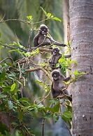 Tinidee Hideaway Tonsai Beach Krabi