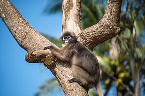 Tinidee Hideaway Tonsai Beach Krabi
