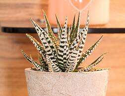 Ferienparadies Reifnhof