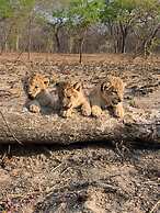 Chaminuka Lodge and Nature Reserve