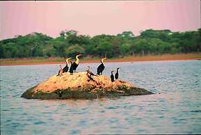 Chaminuka Lodge and Nature Reserve