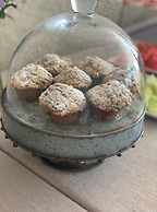 Pueblo Nativo Resort Golf & Spa All Inclusive