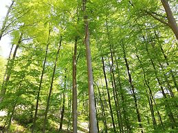Landgasthaus zur Brücke