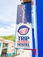 Trip Monkey Hostel