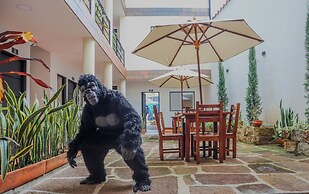 Trip Monkey Origen