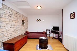 Apartment Srblin