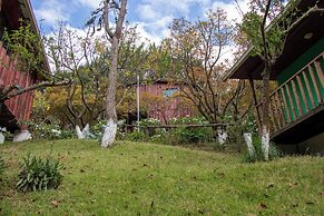 Cabañas Alla Arriba