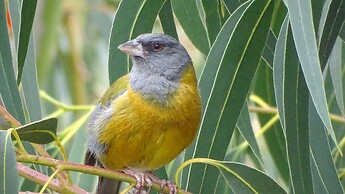 Departamentos Bellavista Deluxe  Huaraz