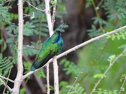 Departamentos Bellavista Deluxe  Huaraz