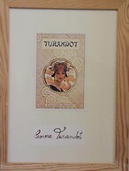 Bella addormentata e il principe Calaf