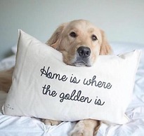 The Mill Restaurant & Accommodation