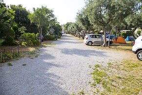 Camping Degli Ulivi