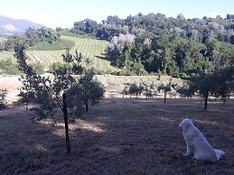 Agriturismo Valle d'Ambrosia