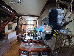 Downtown Apartment Bratislava