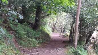 Mandeley Guest House