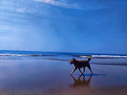 Rootsvilla Hostel Goa