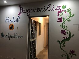 Buganvilia
