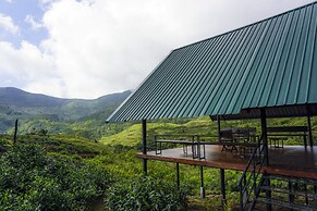 Wild Glamping Knuckles