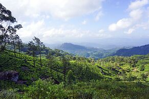 Wild Glamping Knuckles