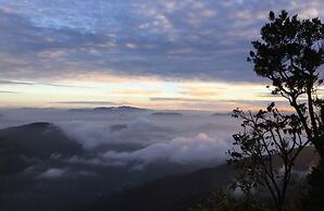 Wanakaset