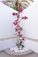 DS Traditional Villas Santorini Island