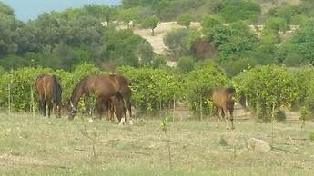 Agriturismo Vita e Natura