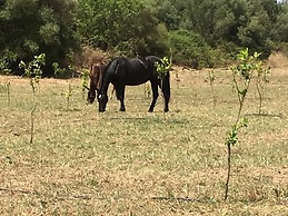 Agriturismo Vita e Natura