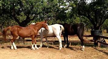 Agriturismo Vita e Natura