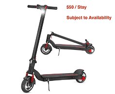 Gorgeous Spot in Hallandale Beach With Pool!!