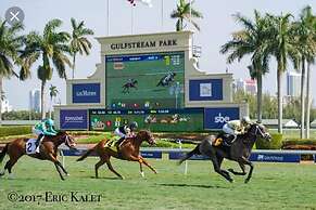 Gorgeous Spot in Hallandale Beach With Pool!!