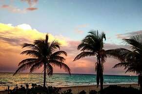 Gorgeous Spot in Hallandale Beach With Pool!!