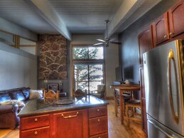 Lift Tickets Ski-in-out Mnt Side Wifi, Fireplace, Clubhousewinter Shut