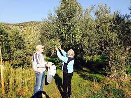 Villa Demeter Country Haus