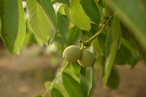 Villa Demeter Country Haus