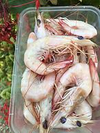 Ash's Holiday Units & Cafe