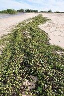 Ash's Holiday Units & Cafe