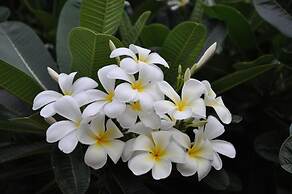 Ash's Holiday Units & Cafe